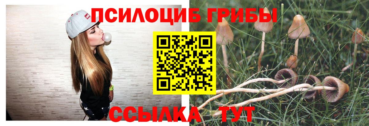 Галлюциногенные грибы ЛСД  Вход с VPN  Междуреченск  Псилоцибиновые грибы GOLDEN TEACHER 